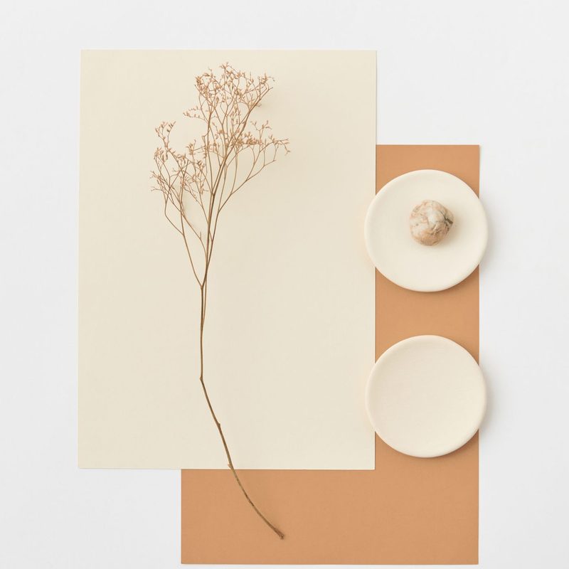 Warm tones and soft textures